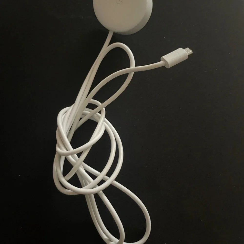 Google Home Mini Gen 1